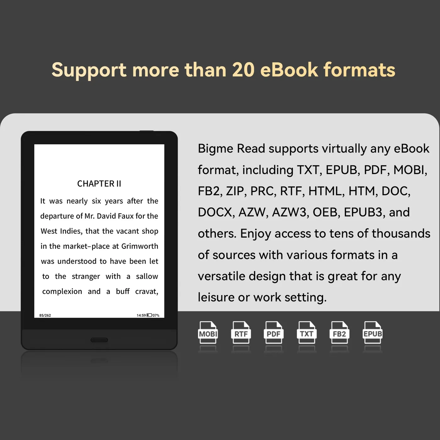 Infografis Bigme Read mendukung lebih dari 20 format ebook